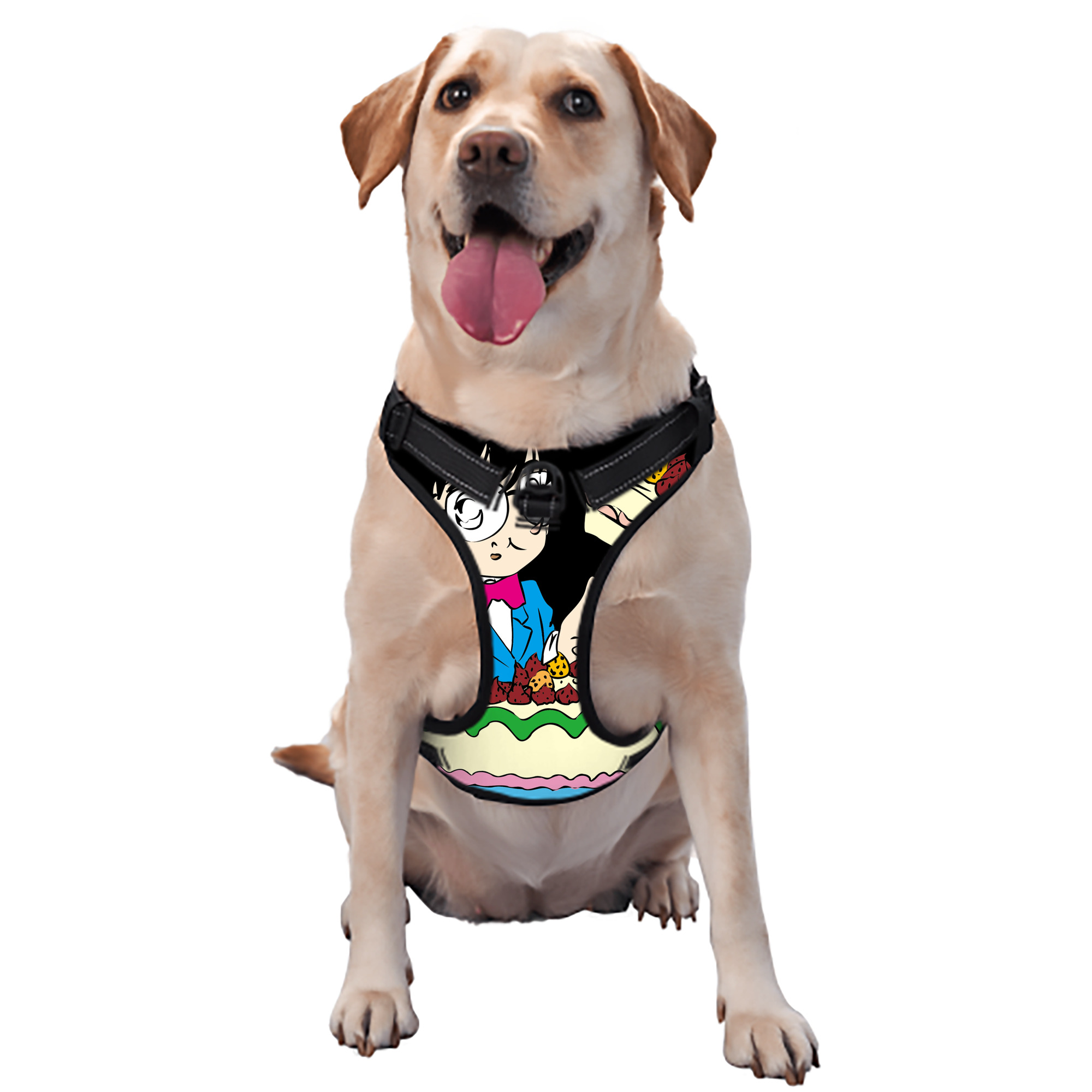 （画像用） 名探偵コナン 江戸川 コナン Detective Conan Conan Edogawa ペット用ハーネス